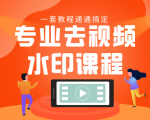 专业去视频水印教程 静态水印、动态水印、文字水印、图片水印一套教程通通搞定-吗喽副业资源站