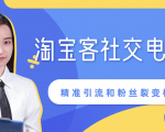 某站内部课程：淘宝客社交电商裂变，精准引流和粉丝裂变模式详解（共6节视频）-吗喽副业资源站