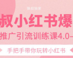 狼叔小红书爆款推广引流训练课4.0，手把手带你玩转小红书-吗喽副业资源站