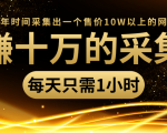 年赚十万的采集站，每天却只需要1小时，一年时间采集出一个售价10W以上的网站-吗喽副业资源站