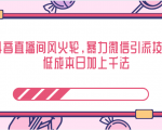 抖音直播间风火轮，暴力微信引流技术，低成本日加上千法-吗喽副业资源站