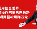 利用信息差异，零投资操作阿里巴巴最新管道项目轻松月赚10000+-吗喽副业资源站