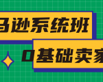 亚马逊系统班，专为0基础卖家量身打造，亚马逊运营流程与架构-吗喽副业资源站