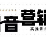 《12天线上抖音营销实操训练营》通过框架布局实现自动化引流变现-吗喽副业资源站