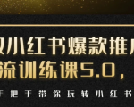 小红书爆款推广引流训练课5.0，手把手带你玩转小红书（17节实操视频+话术）-吗喽副业资源站