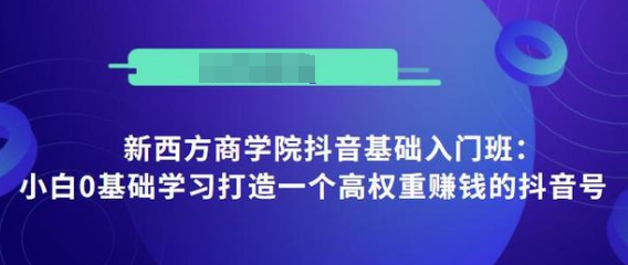 抖音基础入门班：小白0基础学习打造一个高权重赚钱的抖音号-吗喽副业资源站