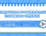 视频号新机制与不刷赞撸养生茶玩法，轻松日赚1000+-吗喽副业资源站