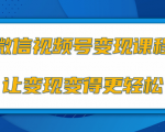 微信视频号变现项目，0粉丝冷启动项目和十三种变现方式-吗喽副业资源站