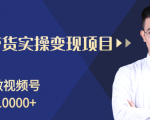 柚子分享课：微信视频号变现攻略，新手零基础轻松日赚千元-吗喽副业资源站