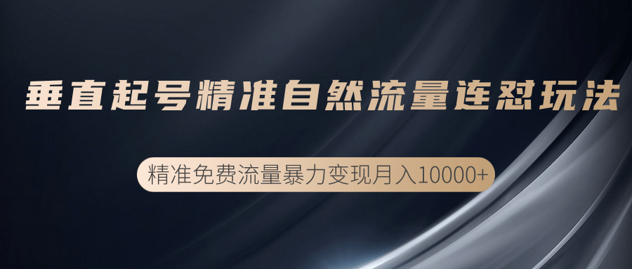 垂直起号精准自然流量连爆玩法，精准引流暴力变现月入10000+-吗喽副业资源站