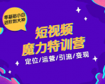 零基础小白进阶到大神《短视频魔力特训营》定位-运营-引流-变现-吗喽副业资源站