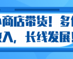 微信小商店带货，爆单多倍收入，长期复利循环！日赚300-800元不等-吗喽副业资源站