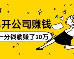 0元开公司赚钱，不花一分钱几天躺赚了30多万，详细操作流程！-吗喽副业资源站