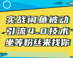 实战闲鱼被动引流4.0技术，坐等粉丝来找你，实操演示日加200+精准粉-吗喽副业资源站