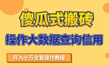 搬砖操作大数据查询信用项目赚钱教程，祝你快速月入6万-吗喽副业资源站