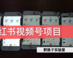 野路子小红书视频号1.0项目，直接上手操作就能赚钱的视频号项目-吗喽副业资源站