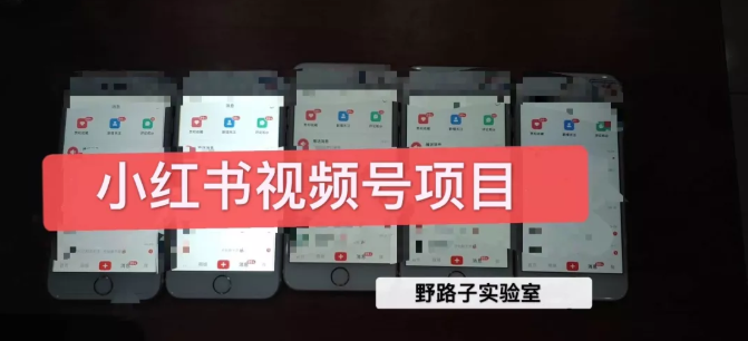 野路子小红书视频号1.0项目，直接上手操作就能赚钱的视频号项目-吗喽副业资源站