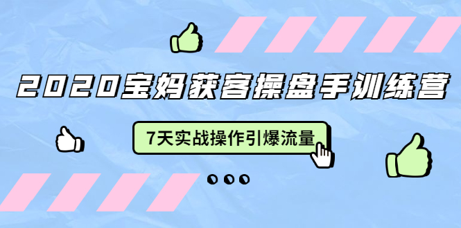 2020宝妈获客操盘手训练营：7天实战操作引爆 母婴、都市、购物宝妈流量-吗喽副业资源站