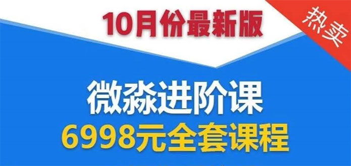 微淼理财进阶课全套视频：助你早点实现财务自由，理论学习+案例分析+实操-吗喽副业资源站