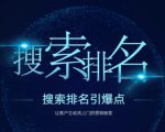 搜索排名引爆点：教你快速掌握各个搜索引擎排名算法，让客户主动找上你的秘笈-吗喽副业资源站