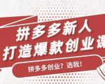 拼多多新人打造爆款创业课：快速引流持续出单，适用于所有新人-吗喽副业资源站