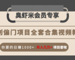 暴利偏门项目全套合集视频教程：你要的日赚1000+月入几万+项目都有-吗喽副业资源站
