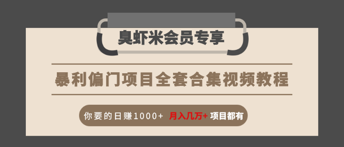 暴利偏门项目全套合集视频教程：你要的日赚1000+月入几万+项目都有-吗喽副业资源站
