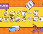 清和行记引流训练营：小白不到一周便能日引流几十精准粉-吗喽副业资源站