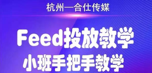 合仕传媒Feed投放教学，手把手教学，开车烧钱必须自己会-吗喽副业资源站