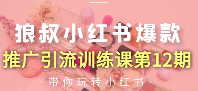 狼叔小红书爆款推广引流训练课第12期，手把手带你玩转小红书-吗喽副业资源站