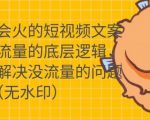 只说话就会火的短视频文案课，从根本上解决没流量的问题-吗喽副业资源站