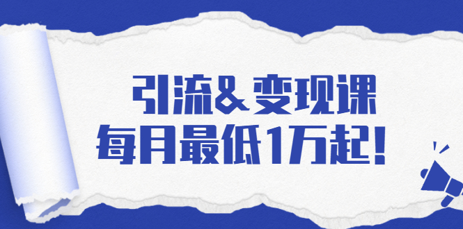 引流&变现课：分享一整套流量方法以及各个渠道收入，每月最低1万起！-吗喽副业资源站
