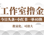 工作室撸金二件套：撸今日头条原创收益+小红书一单利润40块项目-吗喽副业资源站