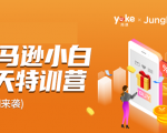 雨课·亚马逊小白特训营第9期 跨境电商挺赚钱的 有朋友已经月入几十万美金-吗喽副业资源站