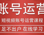 短视频账号运营课程：从话术到短视频运营再到直播带货全流程，新人快速入门-吗喽副业资源站