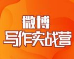 村西边老王·微博超级写作实战营，帮助你粉丝猛涨价值999元-吗喽副业资源站
