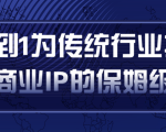 从0到1为传统行业打造抖音商业IP简单高效的保姆级攻略-吗喽副业资源站