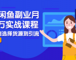 2021闲鱼副业月入过万实战课程：从开店到选择货源到引流，全程实战教学-吗喽副业资源站