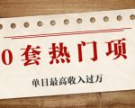 30套热门项目：单日最高收入过万 (网赚项目、朋友圈、涨粉套路、抖音、快手)等-吗喽副业资源站
