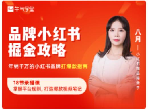 品牌小红书掘金攻略，年销千万的小红书品牌打爆款指南-吗喽副业资源站