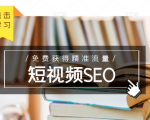 未来新趋势，布局短视频SEO，如何利用抖音SEO免费获得精准流量（3节课）-吗喽副业资源站