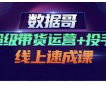数据哥·超级带货运营+投手线上速成课，快速提升运营和熟悉学会投手技巧-吗喽副业资源站