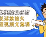 文案实操训练营，只说话就能火的短视频文案课-吗喽副业资源站