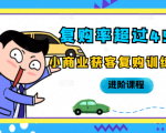 复购率超过45%，小商业获客复购训练营进阶课程-吗喽副业资源站