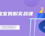 百度贴吧引流宝妈粉实战课，小白也可以日引100+精准粉-吗喽副业资源站