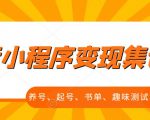 抖音小程序变现集训课，养号、起号、书单、趣味测试、视频剪辑，全套流程-吗喽副业资源站