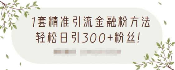 1套精准引流金融粉方法，轻松日引300+粉丝-吗喽副业资源站