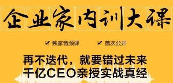 企业家内训大课，未来企业必学经验，价值1299元-吗喽副业资源站