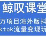 鲸叹号·海外TIKTOK训练营，百万项目海外版抖音tiktok流量变现玩法-吗喽副业资源站