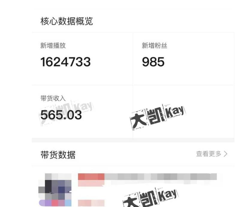 大凯进阶圈新玩法之拼多多视频玩法，利润大概一个号一天能有500~1500的左右!-吗喽副业资源站